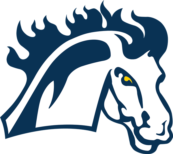 Mount Mercy University - Seminole Stampede logo